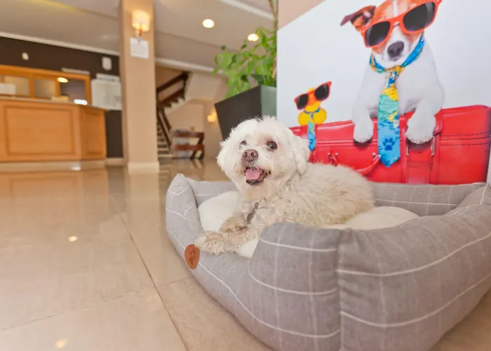 Azuline Mediterraneo Готель