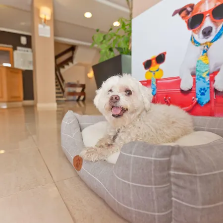 Azuline Mediterraneo Hotell