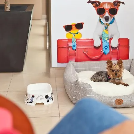 Hotel Azuline Mediterráneo 2*