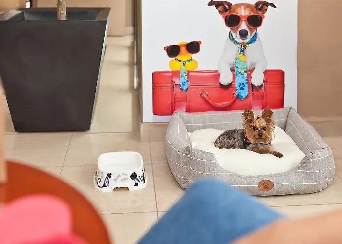 Hotel Azuline Mediterraneo 2*