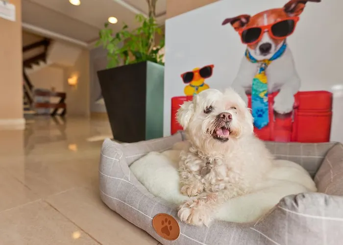 Azuline Mediterraneo 2*