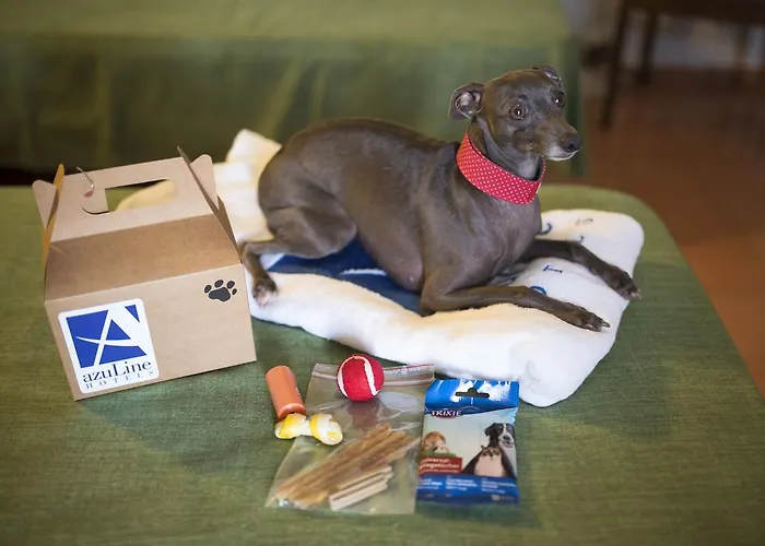 Отель Azuline Mediterraneo Санта-Эулалия-дель-Рио